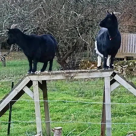 Feriehus La Maison D A Cote