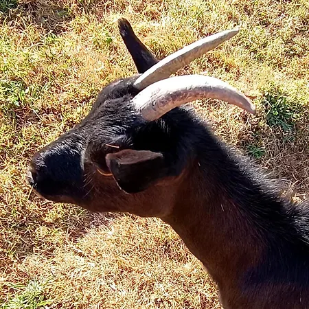 La Maison D A Cote *