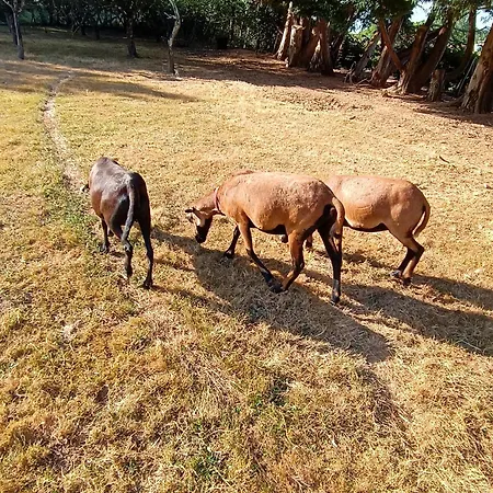 La Maison D A Cote * Lacropte