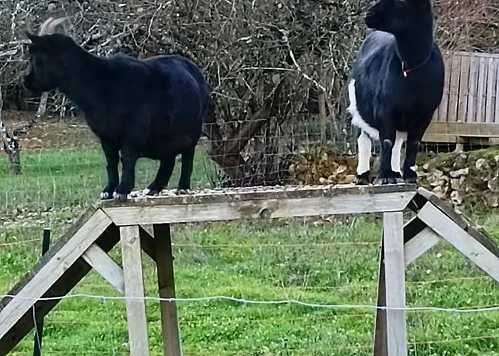 Ferienhaus La Maison D A Cote