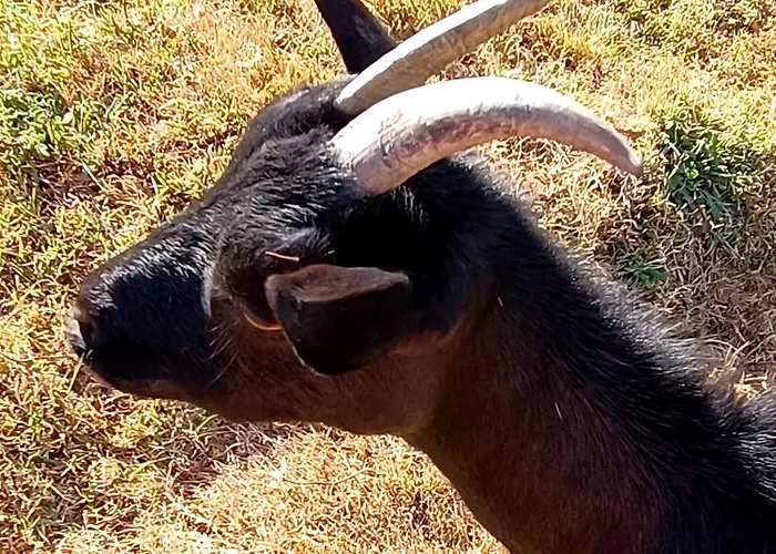 La Maison D A Cote *